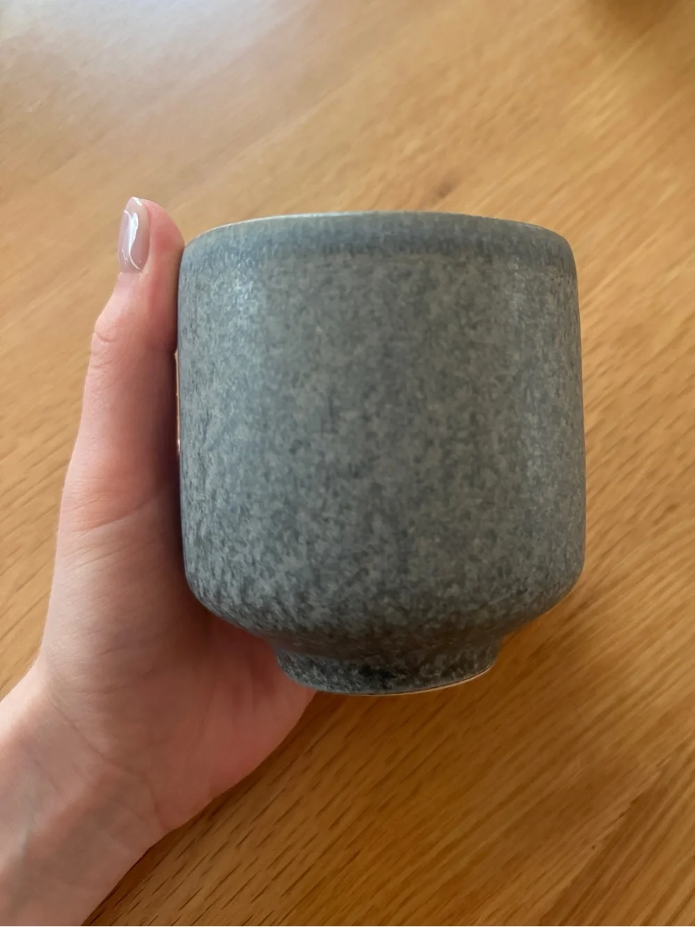 West Elm Mugs- 2 count